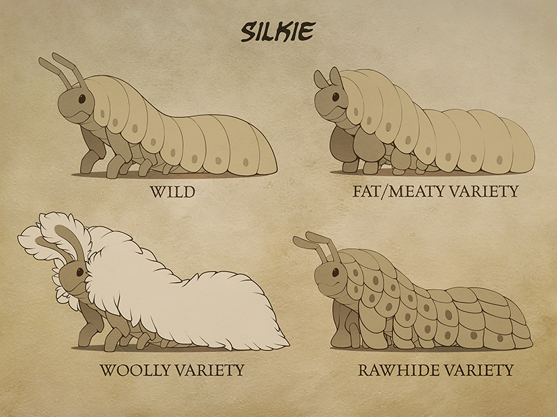 Sketch depicting a variety of silkies.